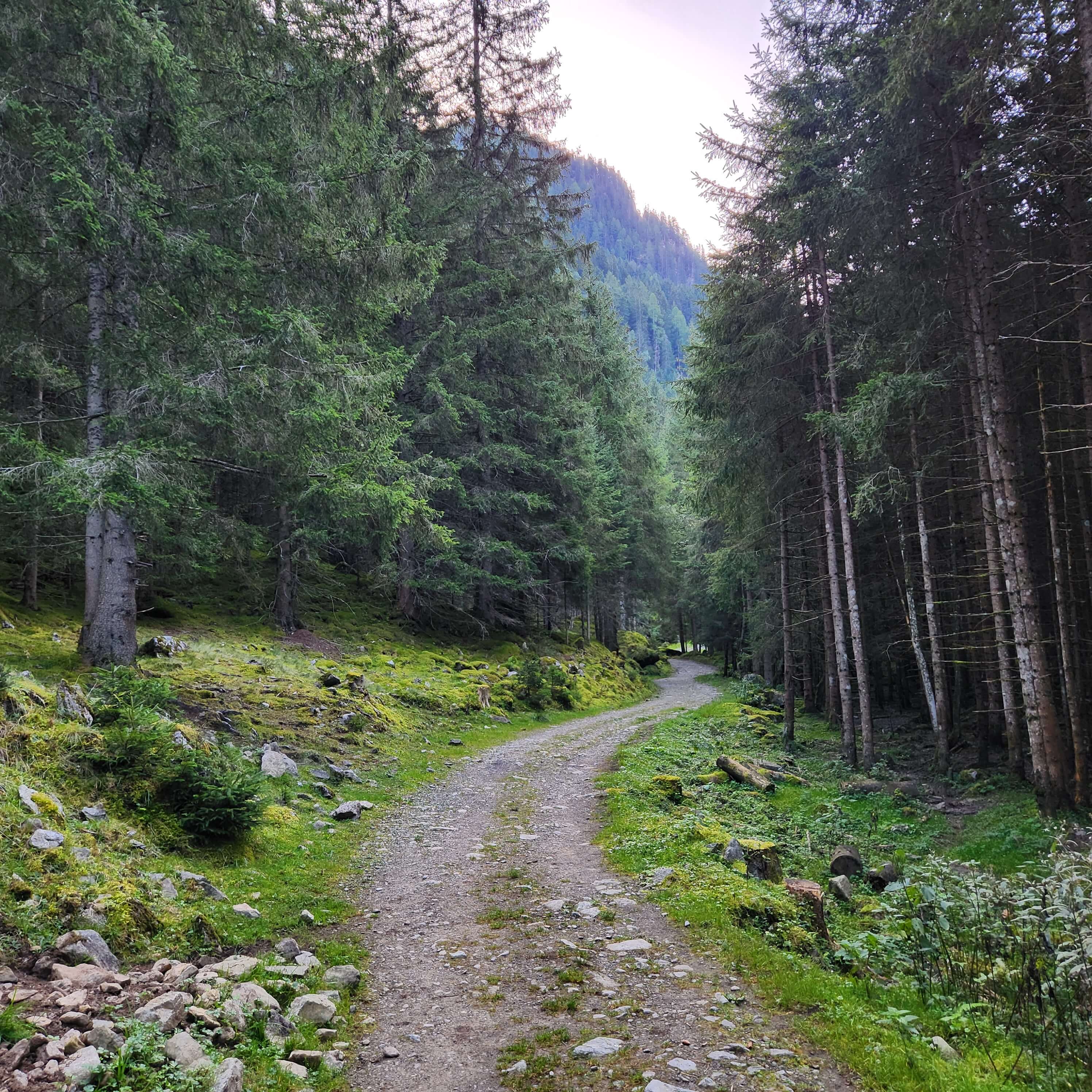 Austria Alps Road