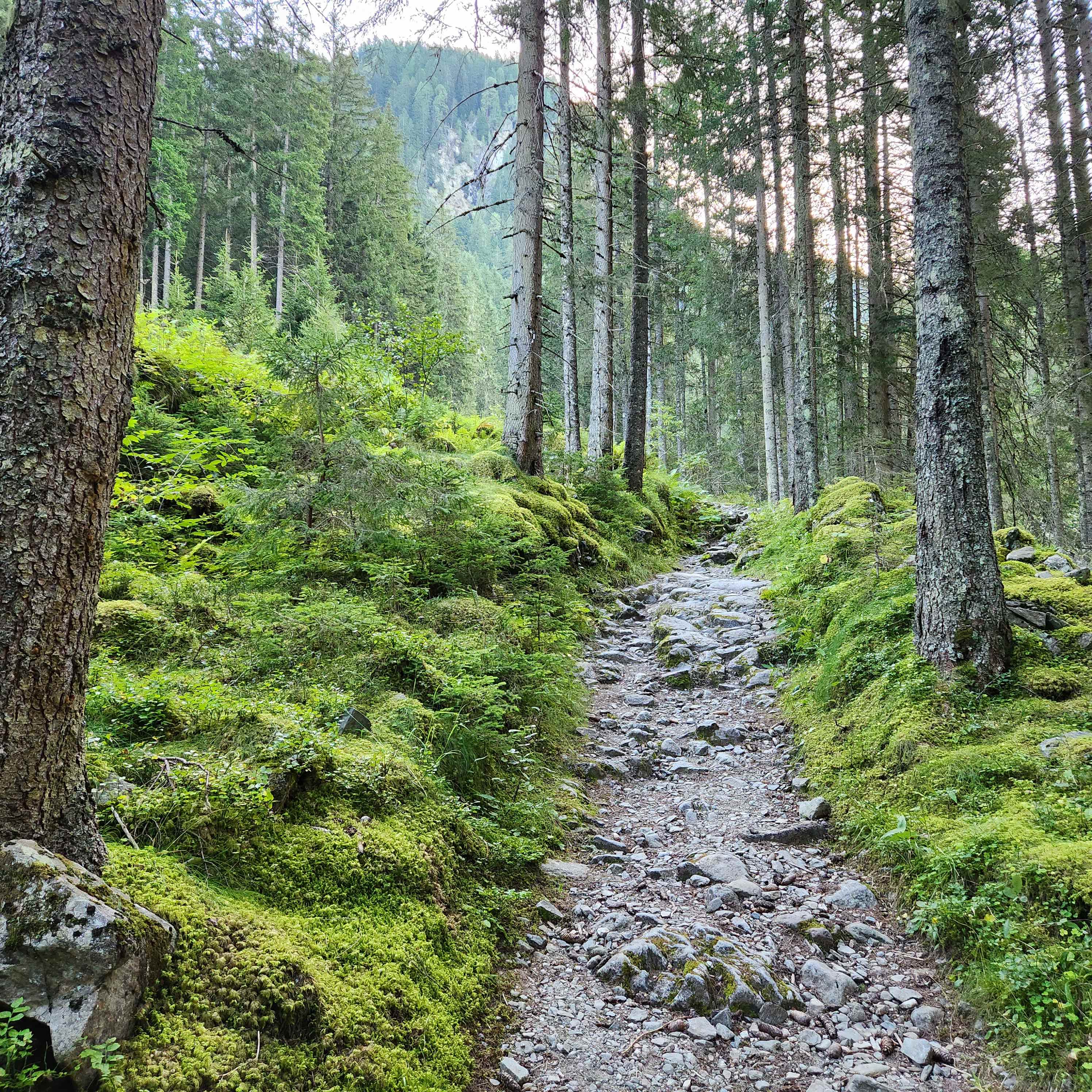 Austria Alps Trail