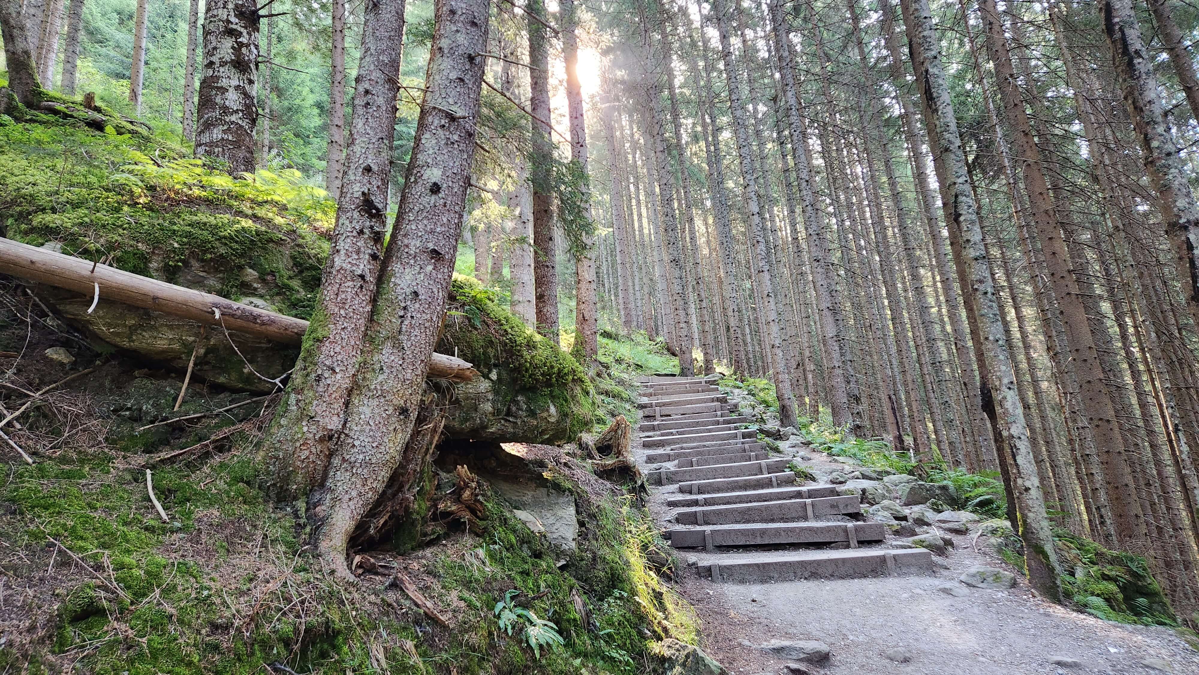 Austria Alps Stairs