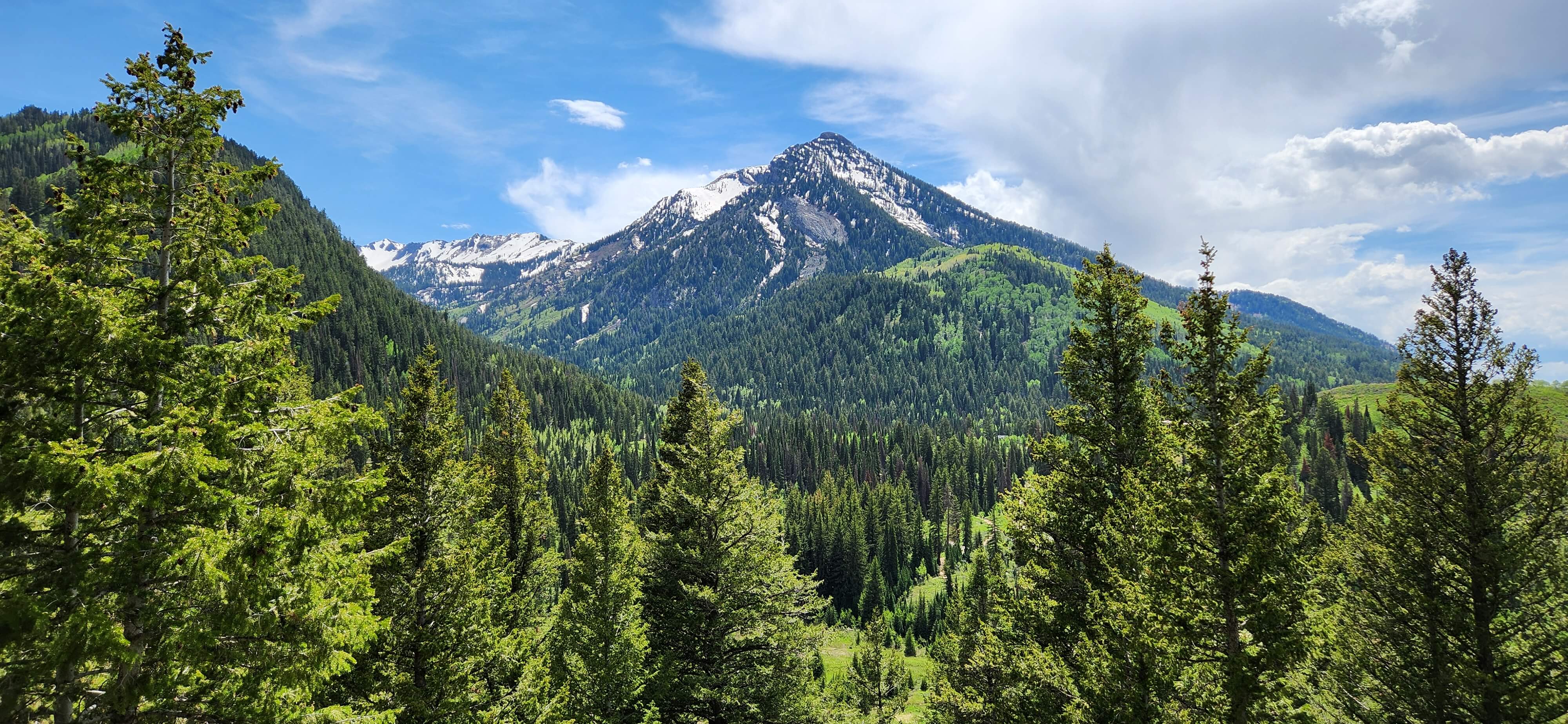 Wasatch Mountains
