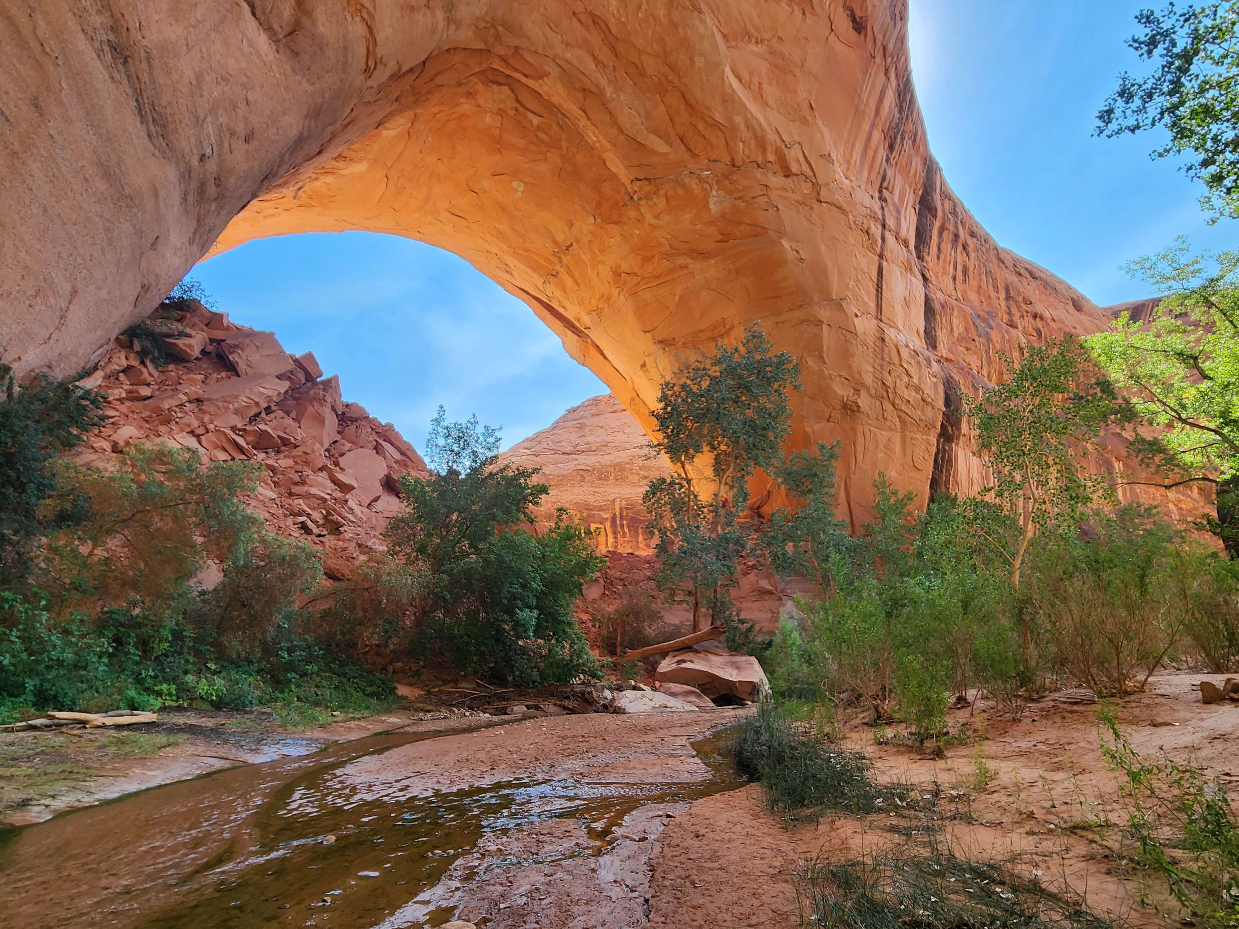 Jacob Hamblin Arch